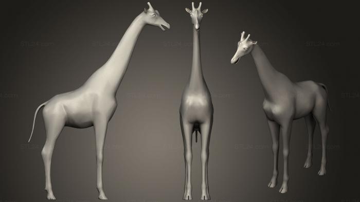 Статуэтки животных (НИЗКОПОЛЬНЫЙ ЖИРАФ, STKJ_1008) 3D модель для ЧПУ станка